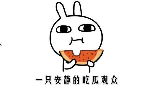 抖音吃瓜有什么网红,揭秘热门网红背后的故事 第1张 抖音吃瓜有什么网红,揭秘热门网红背后的故事 第1张